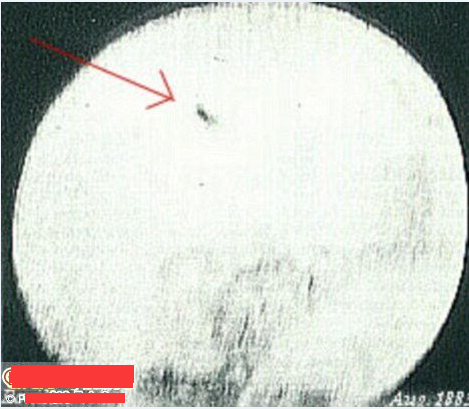 墨西哥ufo事件圖片