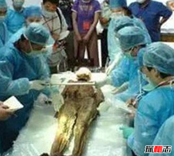 廣西七星巨棺之謎,墓葬主人到底是誰(shuí)?(六面密封)